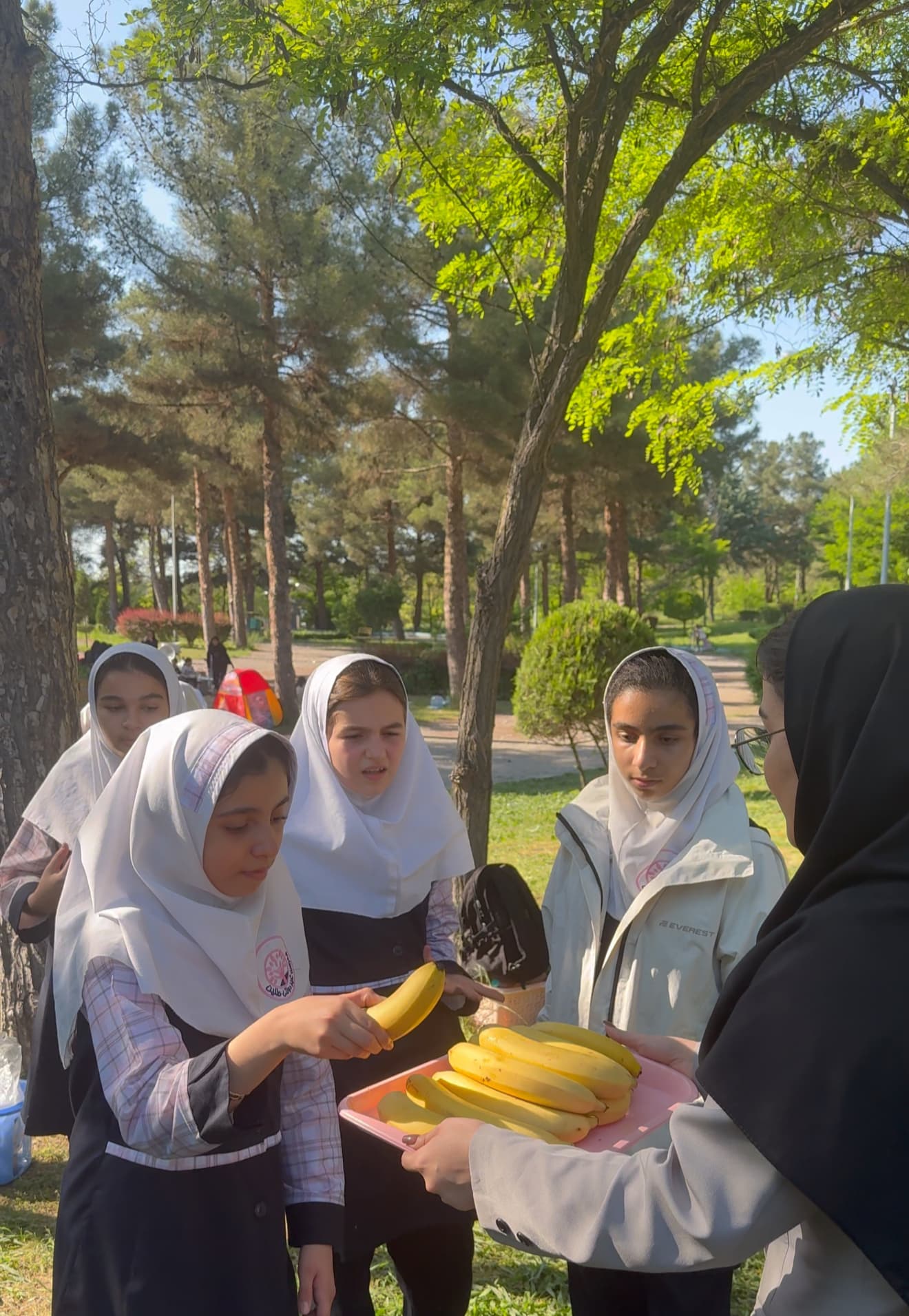 دبستان و کودکستان غیردولتی طنین